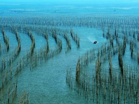 Legal Services on Tender Documentation for Construction of Akzo Nobel