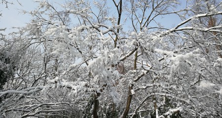 私募基金行业近期监管动态（2018年11月）
