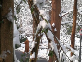 私募基金行业法律动态(2019年1月,总第13期)