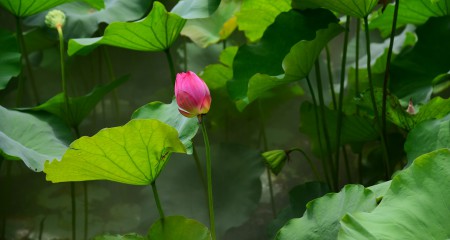 私募基金行业法律动态（2019年6月/总第17期）