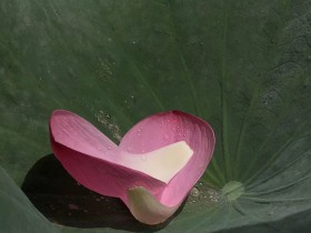 创新驱动的示范区诞生了,创投基金看过来!