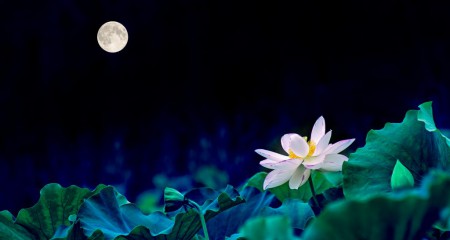 私募基金行业法律动态（2019年8月/总第19期）
