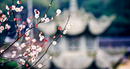 一文看遍2019年度私募基金行业监管政策