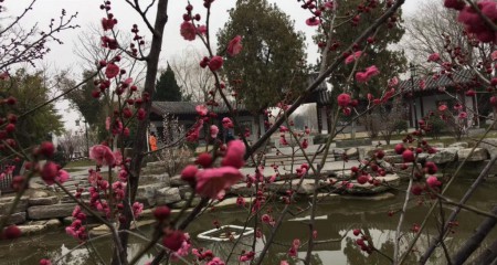 私募基金行业法律动态（2019年12月/总第23期）