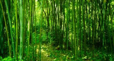 私募基金行业法律动态（2020年4月/总第26期）