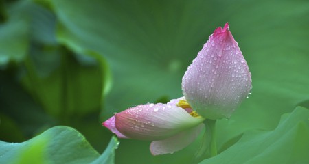 私募基金行业法律动态（2020年6月/总第28期）