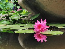 私募基金管理人“哭穷”“失联”,投资者咋办?代位权“奥利给”