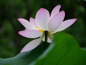 私募基金行业法律动态(2020年7月/总第29期)