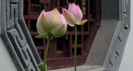 私募基金行业法律动态（2020年8月/总第30期）