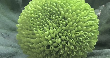 私募基金行业法律动态（2020年10月/总第32期）