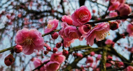私募基金行业2020年度监管政策汇总