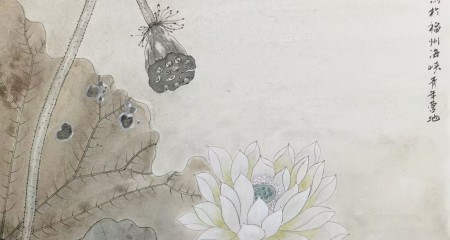 私募投资案例故事：投资迷雾：揭秘私募基金背后的真相